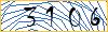 Type the numbers that you see in the picture