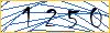 Type the numbers that you see in the picture