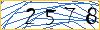 Type the numbers that you see in the picture