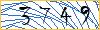 Type the numbers that you see in the picture