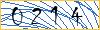 Type the numbers that you see in the picture