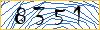 Type the numbers that you see in the picture
