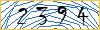 Type the numbers that you see in the picture