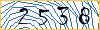 Type the numbers that you see in the picture