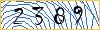 Type the numbers that you see in the picture
