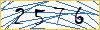 Type the numbers that you see in the picture