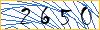 Type the numbers that you see in the picture