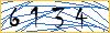 Type the numbers that you see in the picture