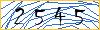 Type the numbers that you see in the picture