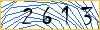 Type the numbers that you see in the picture