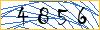 Type the numbers that you see in the picture