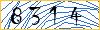 Type the numbers that you see in the picture