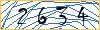 Type the numbers that you see in the picture