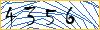 Type the numbers that you see in the picture