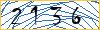 Type the numbers that you see in the picture