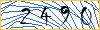 Type the numbers that you see in the picture