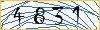 Type the numbers that you see in the picture