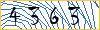 Type the numbers that you see in the picture