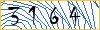 Type the numbers that you see in the picture