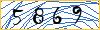 Type the numbers that you see in the picture