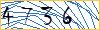 Type the numbers that you see in the picture