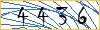 Type the numbers that you see in the picture