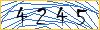Type the numbers that you see in the picture