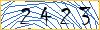 Type the numbers that you see in the picture