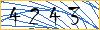 Type the numbers that you see in the picture