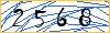 Type the numbers that you see in the picture