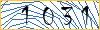 Type the numbers that you see in the picture