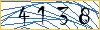 Type the numbers that you see in the picture