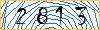 Type the numbers that you see in the picture