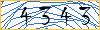 Type the numbers that you see in the picture