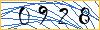 Type the numbers that you see in the picture