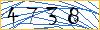 Type the numbers that you see in the picture