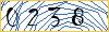 Type the numbers that you see in the picture