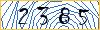 Type the numbers that you see in the picture