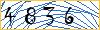 Type the numbers that you see in the picture