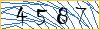 Type the numbers that you see in the picture