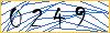 Type the numbers that you see in the picture
