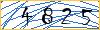 Type the numbers that you see in the picture