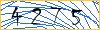 Type the numbers that you see in the picture
