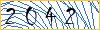 Type the numbers that you see in the picture
