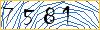 Type the numbers that you see in the picture