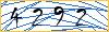 Type the numbers that you see in the picture