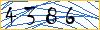 Type the numbers that you see in the picture