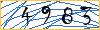Type the numbers that you see in the picture