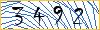 Type the numbers that you see in the picture