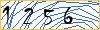Type the numbers that you see in the picture